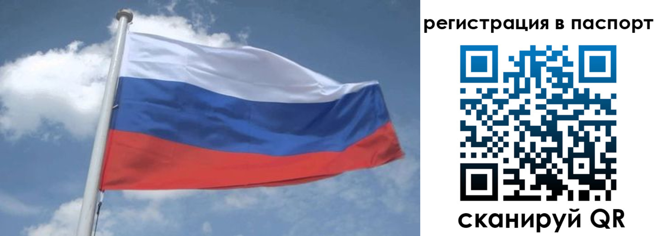 временная регистрация надежно в Бокситогорске